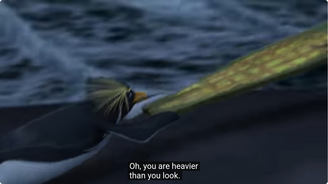 fully fashioned knit