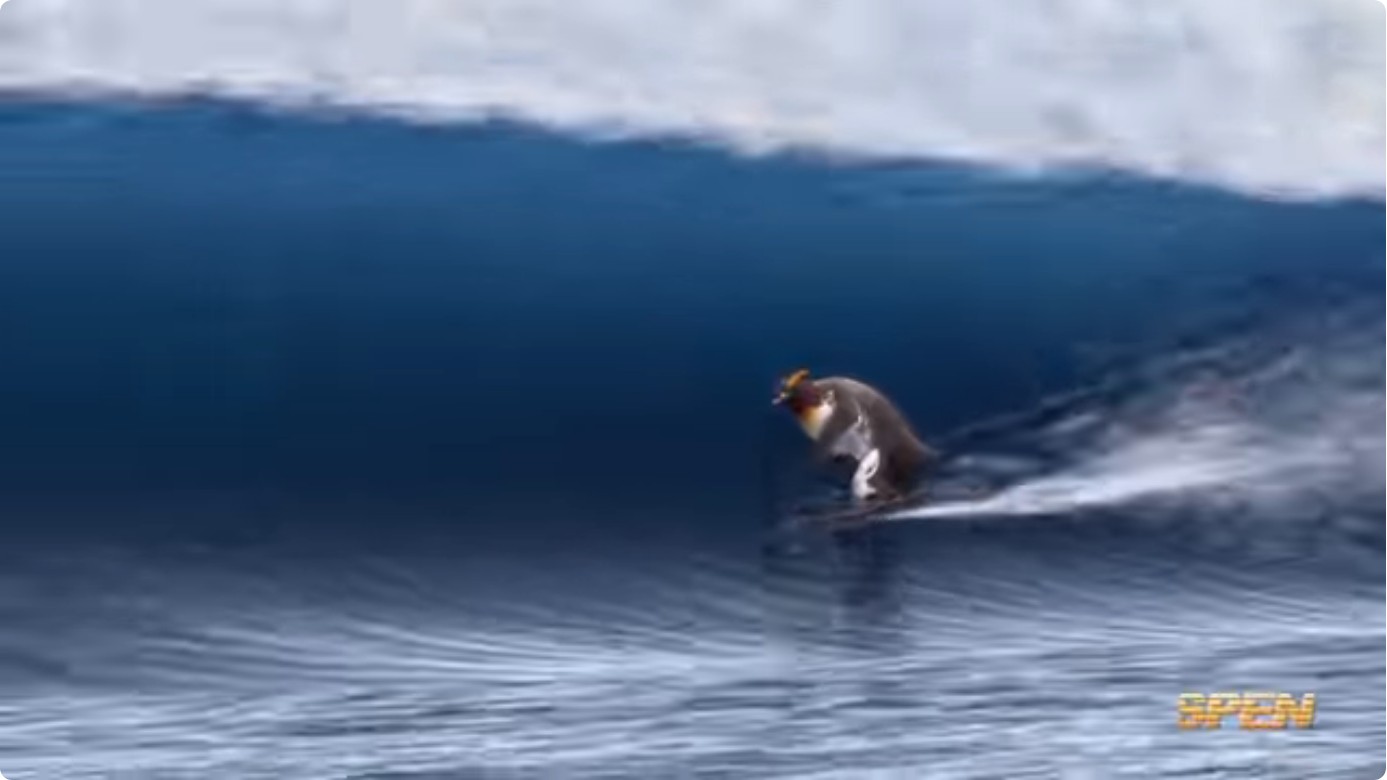 rash guard vs wetsuit
